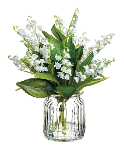 Lily of Valley